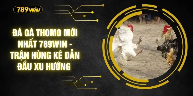 Đá Gà Thomo Mới Nhất 789WIN - Trận Kê Dẫn Đầu Xu Hướng