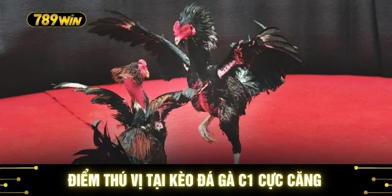 Điểm thú vị tại kèo đá gà C1 cực căng